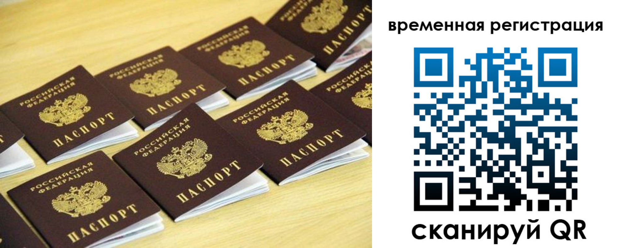 временная прописка в Ельне